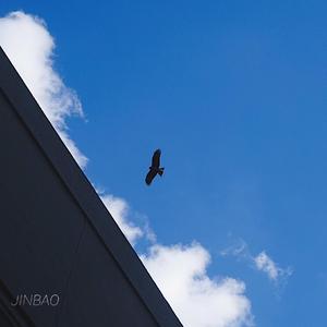 91综合福利导航网站大全
