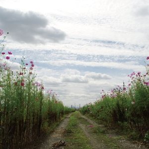 91综合福利导航网站大全
