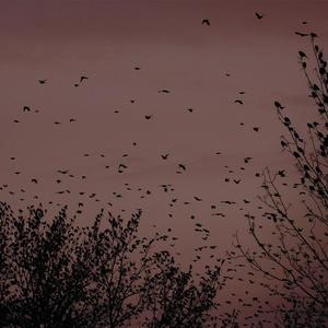 91综合福利导航网站大全
