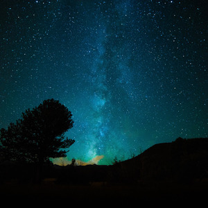 91综合福利导航网站大全
